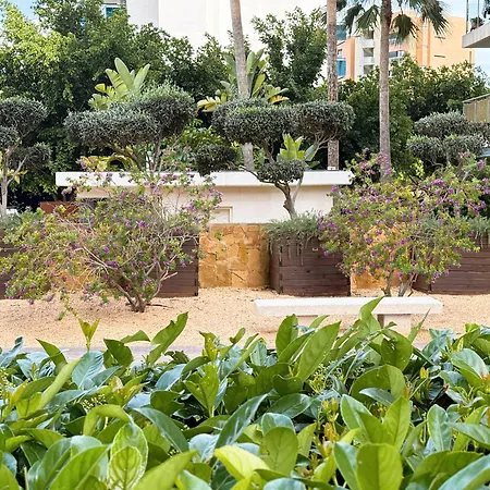 Cala Alta * بينايدورم